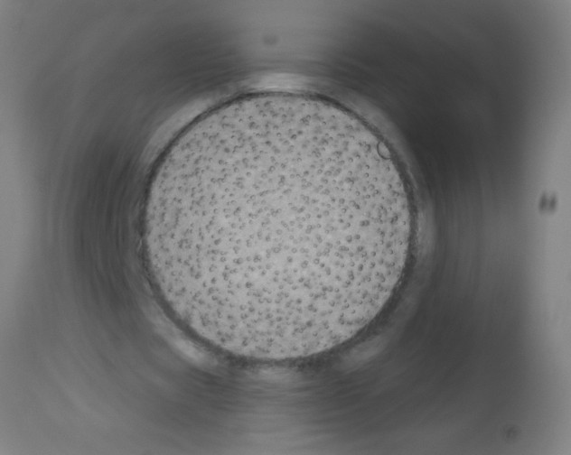 X0000113180529200910161334