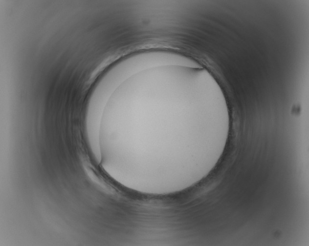 X0000113180530200910161334