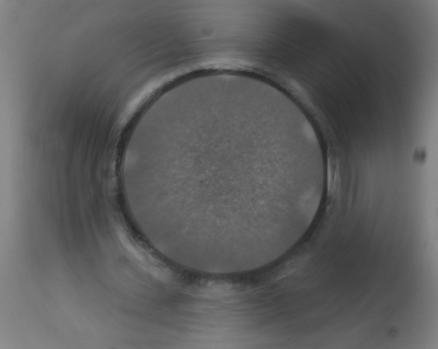 X0000113180531200910161334
