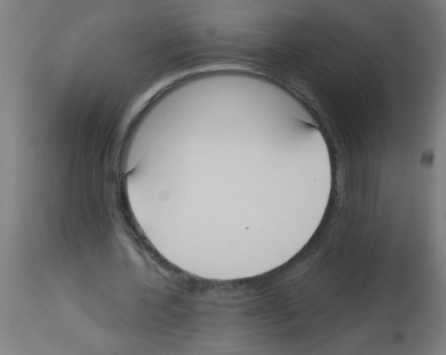 X0000113180532200910161334