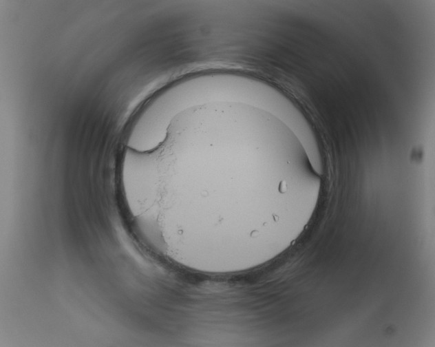 X0000113180534200910161334