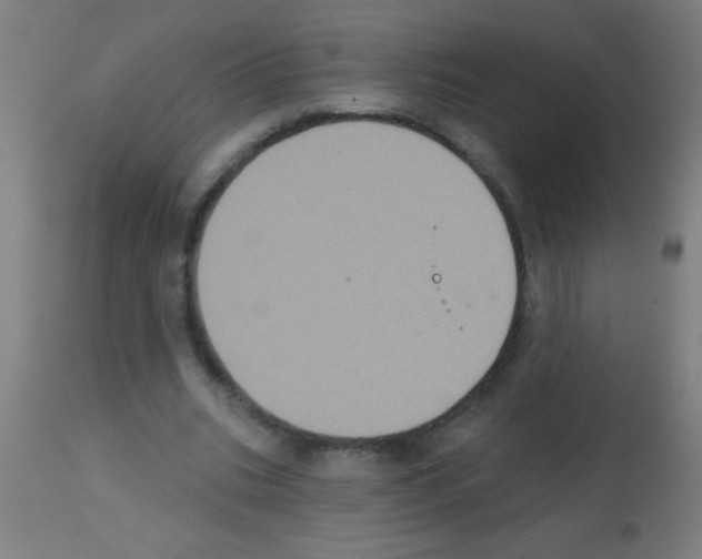 X0000113180535200910161334