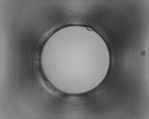 X0000113180538200910161334