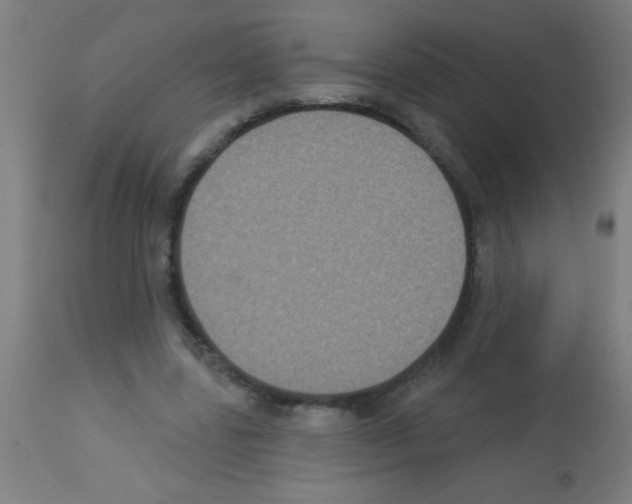 X0000113180539200910161334