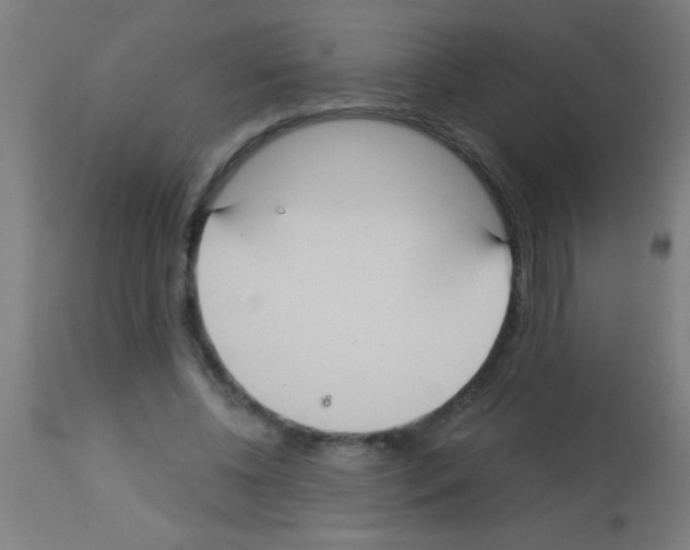 X0000113180540200910161334