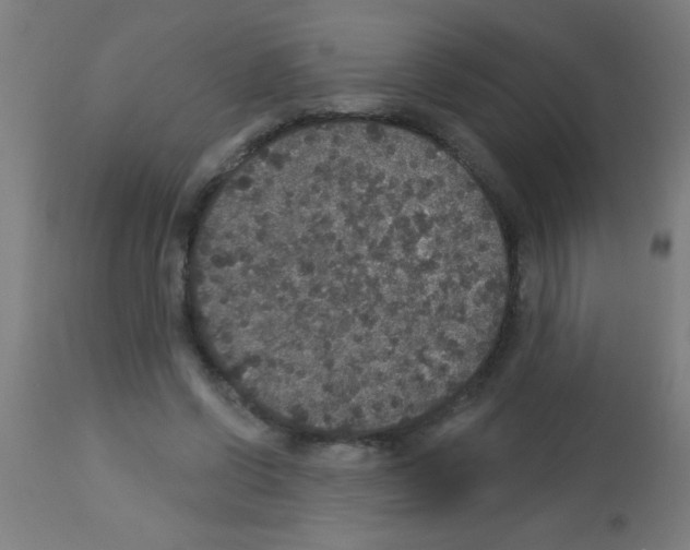 X0000113180542200910161334
