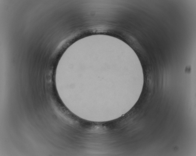 X0000113180543200910161334