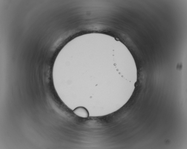 X0000113180544200910161334