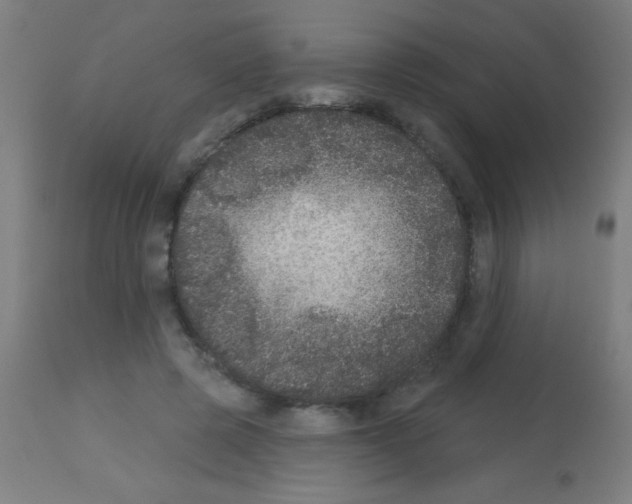 X0000113180545200910161334