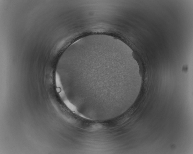 X0000113180547200910161334