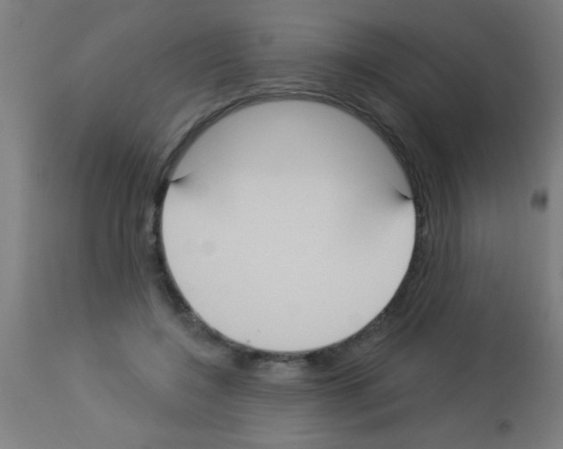 X0000113180548200910161334