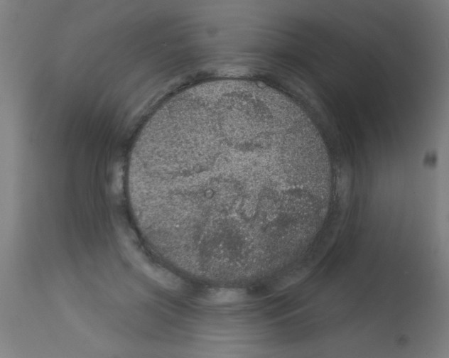 X0000113180549200910161334