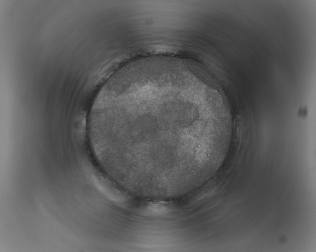 X0000113180550200910161334
