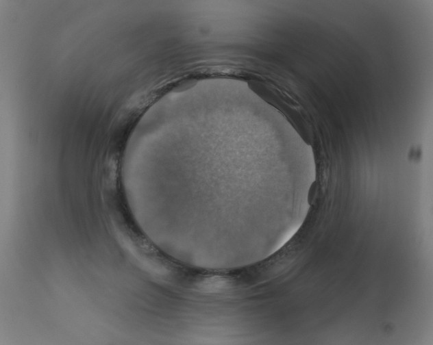X0000113180551200910161334