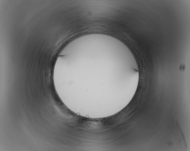 X0000113180552200910161334
