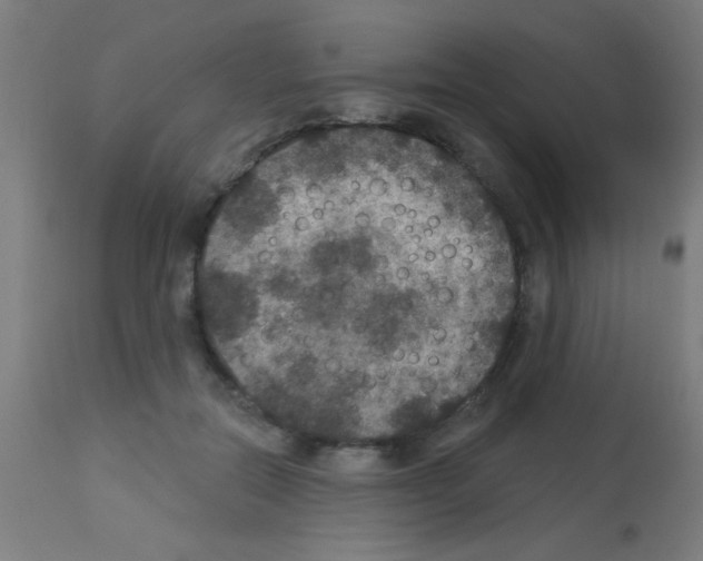 X0000113180554200910161334
