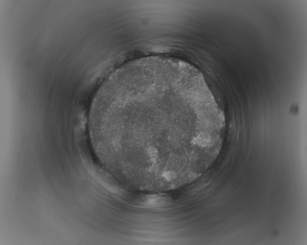 X0000113180555200910161334