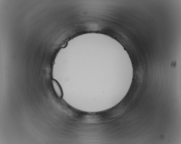 X0000113180556200910161334