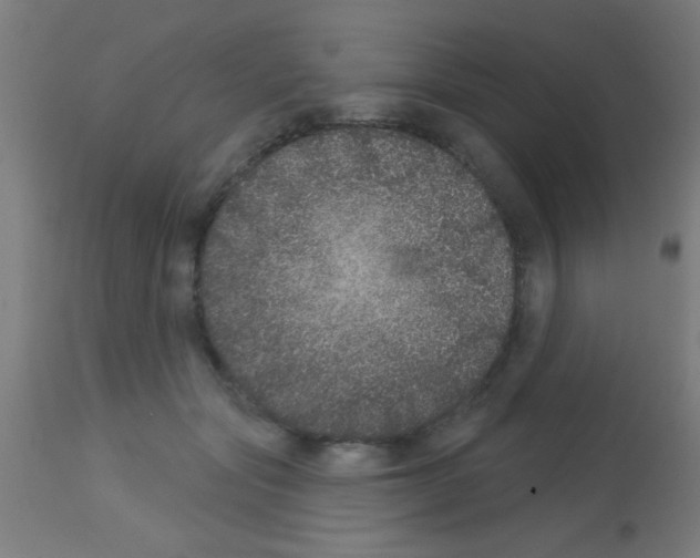 X0000113180557200910161334