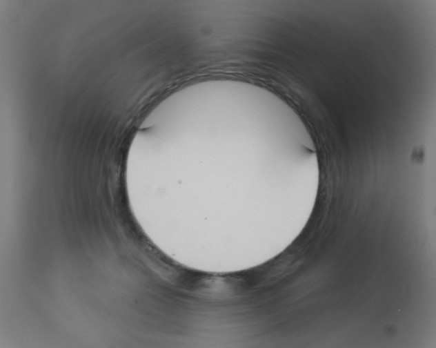 X0000113180558200910161334