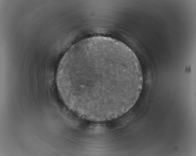 X0000113180559200910161334