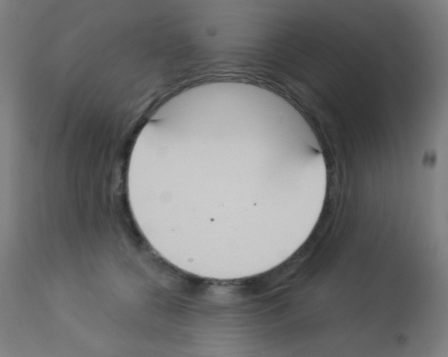 X0000113180560200910161334