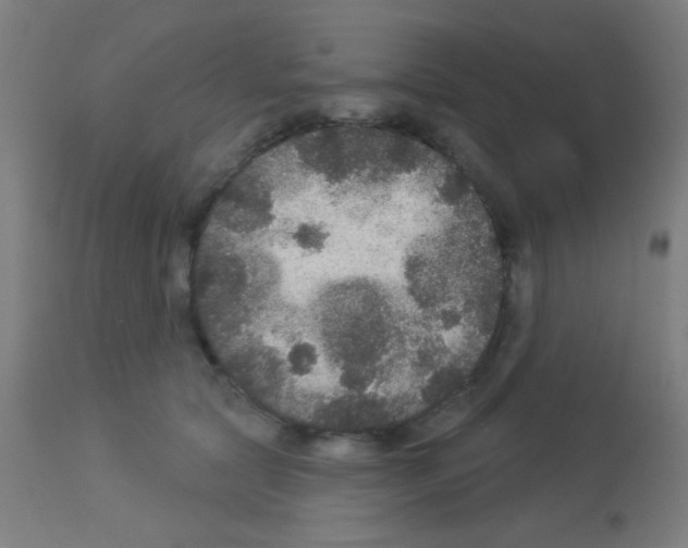X0000113180561200910161334
