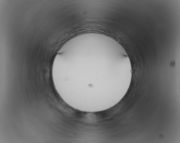 X0000113180562200910161335