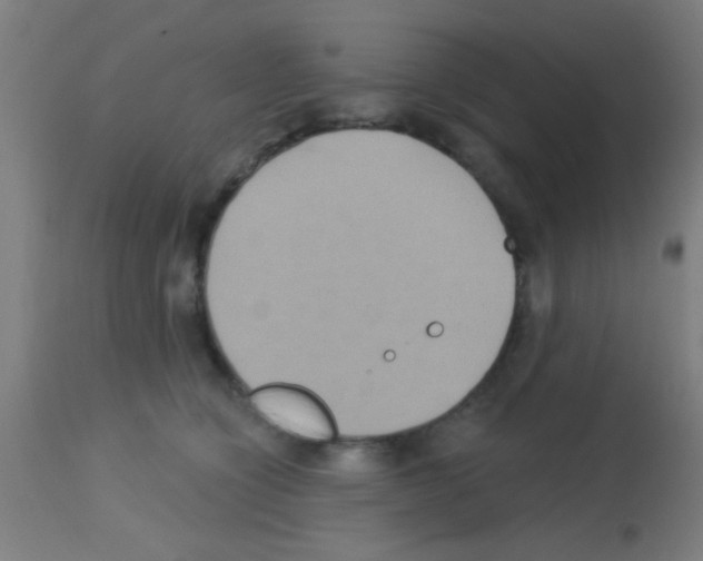 X0000113180564200910161335