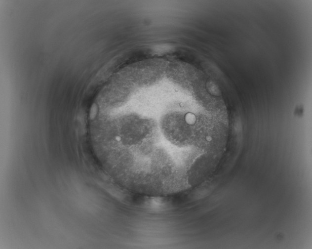X0000113180565200910161335