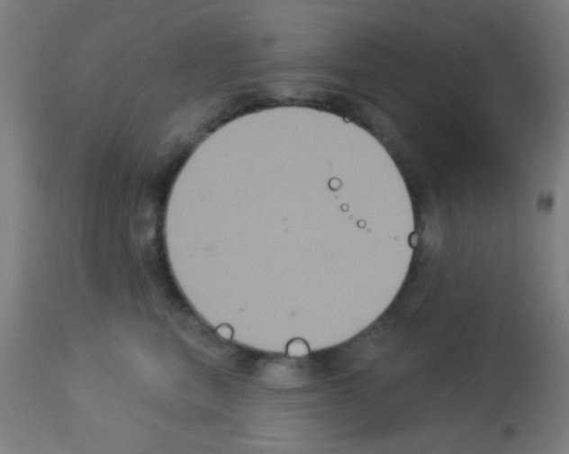 X0000113180567200910161335