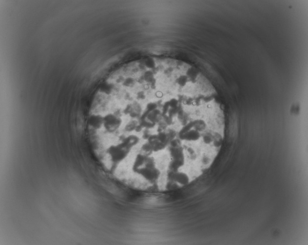 X0000113180569200910161335