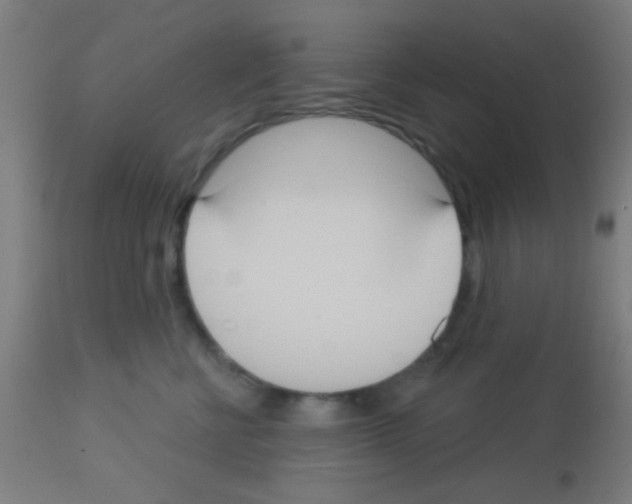 X0000113180570200910161335