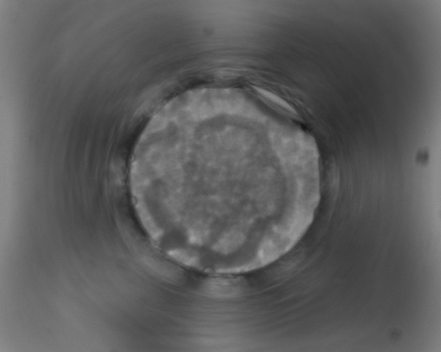 X0000113180571200910161335