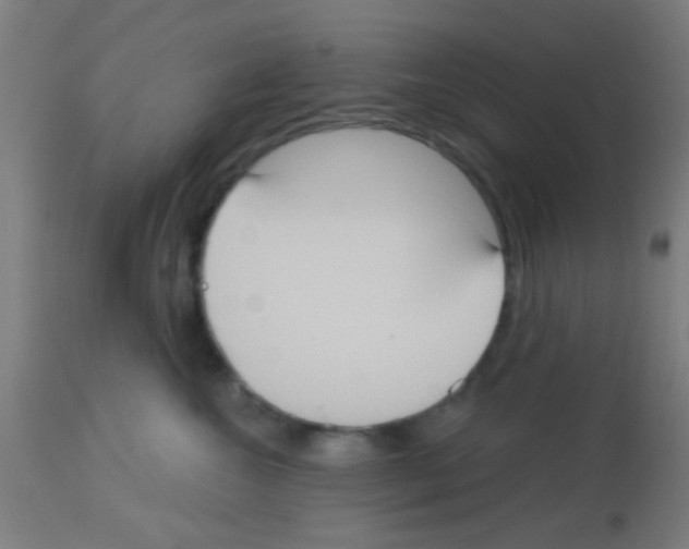 X0000113180572200910161335