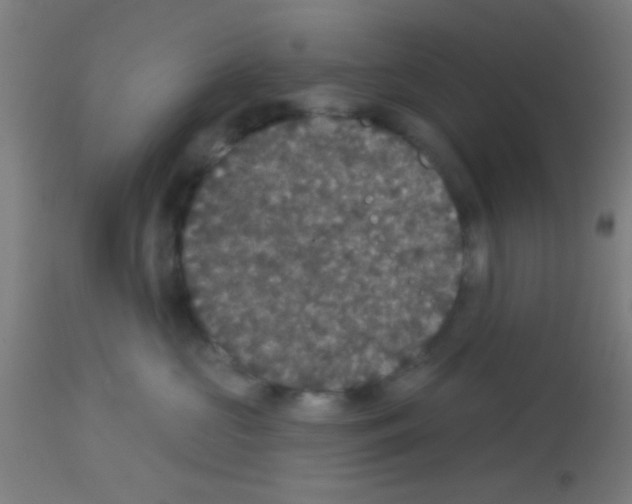 X0000113180573200910161335