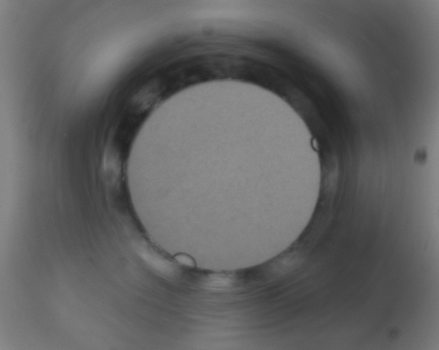 X0000113180574200910161335