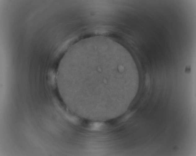 X0000113180575200910161335