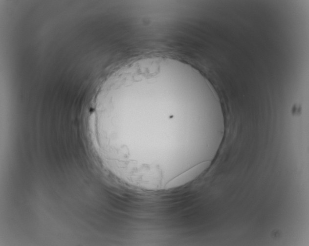 X0000113180576200910161335