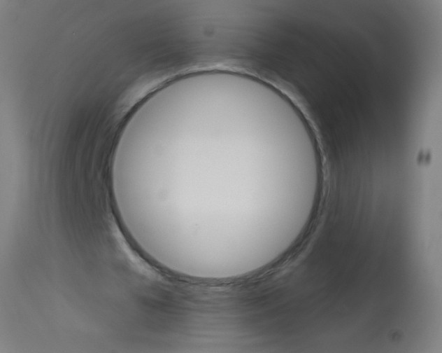 X0000113180577200910161334
