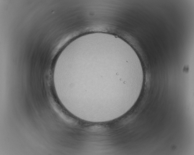 X0000113180578200910161334