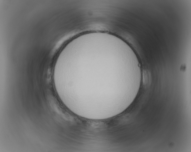 X0000113180579200910161334