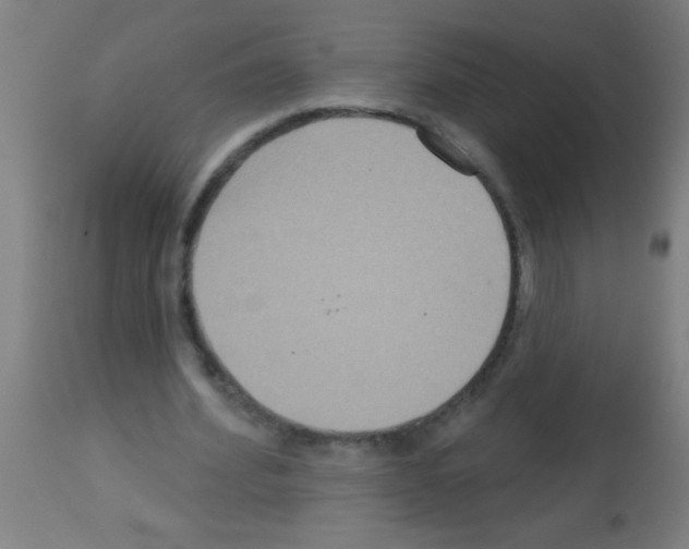 X0000113180580200910161334