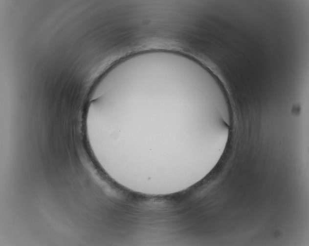 X0000113180581200910161334