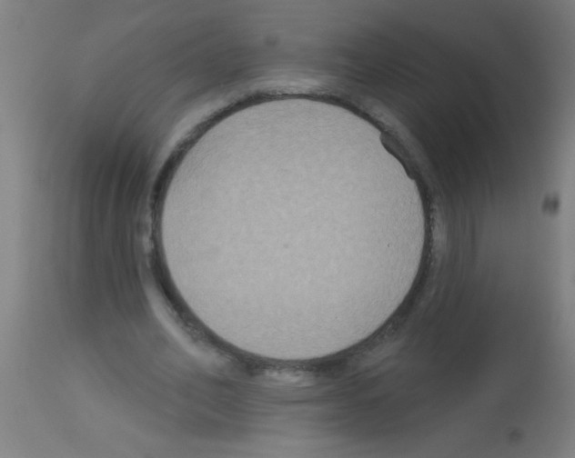 X0000113180582200910161334