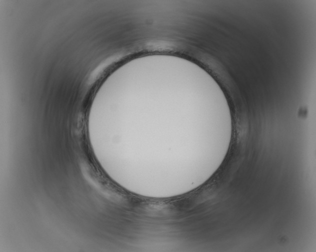 X0000113180583200910161334