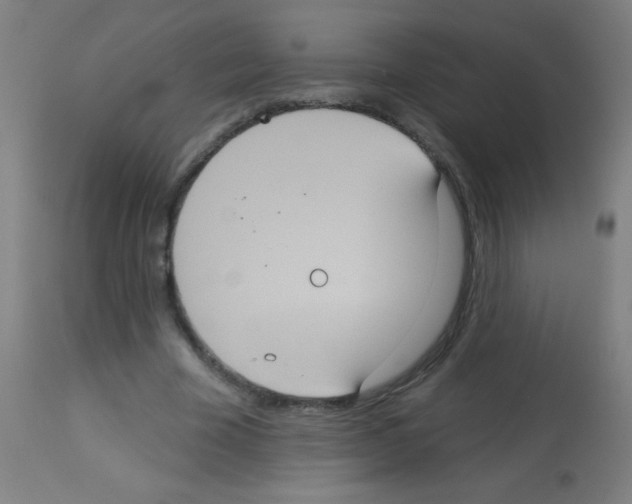 X0000113180585200910161334