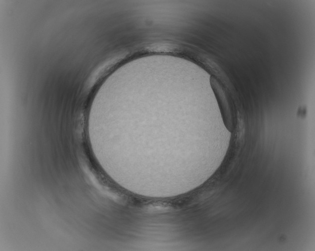 X0000113180586200910161334