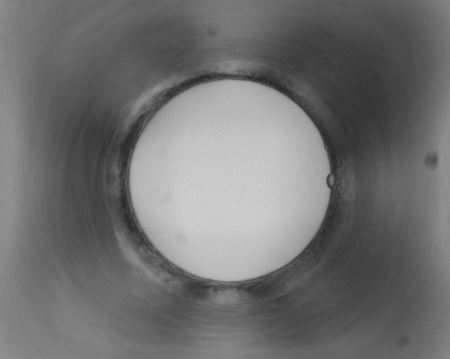 X0000113180587200910161334