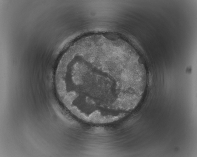 X0000113180588200910161334